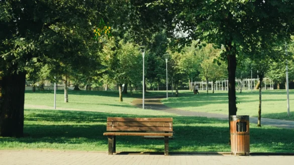 Umm Al Emarat Park